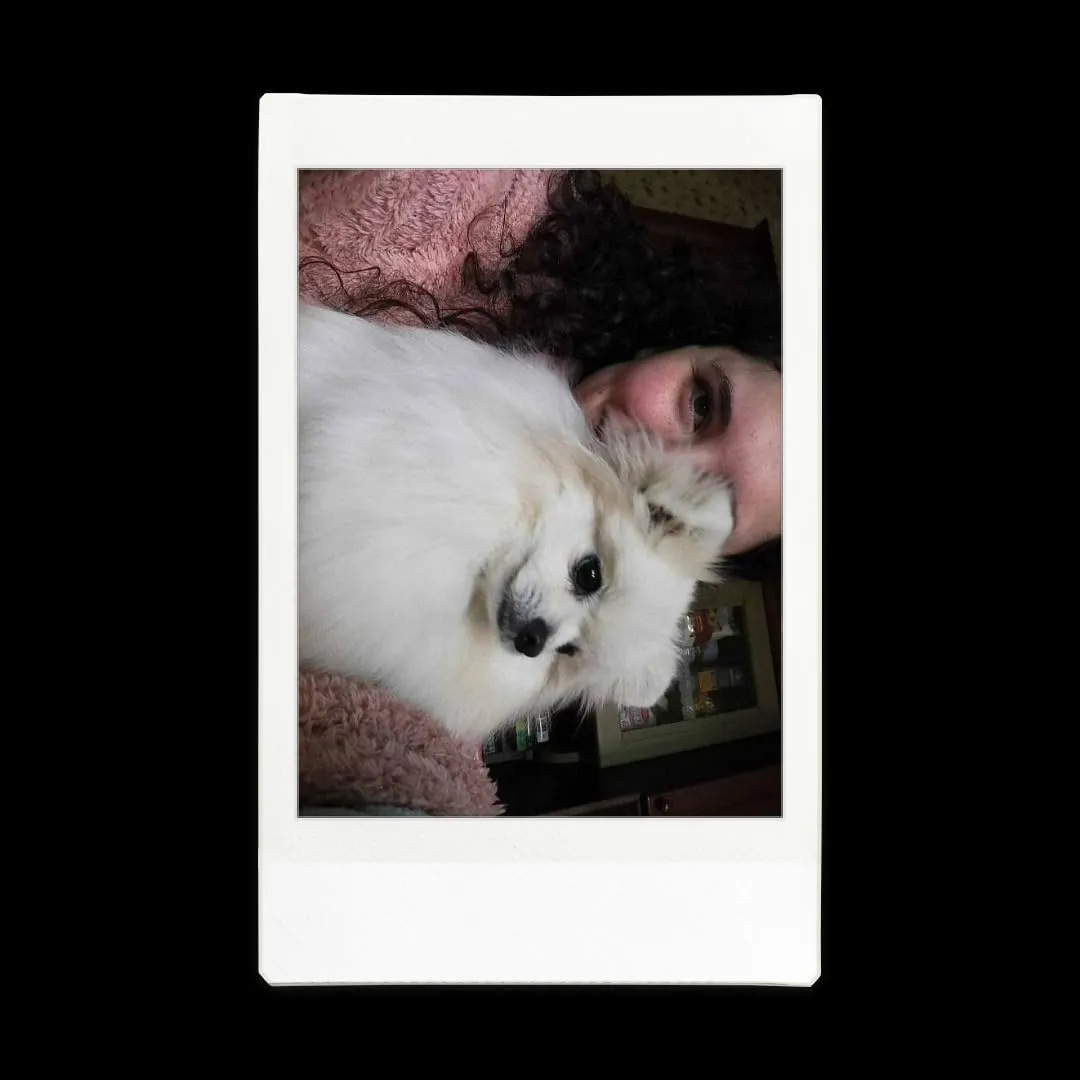 Instax Mini Evo fotocamera istantanea ibrida