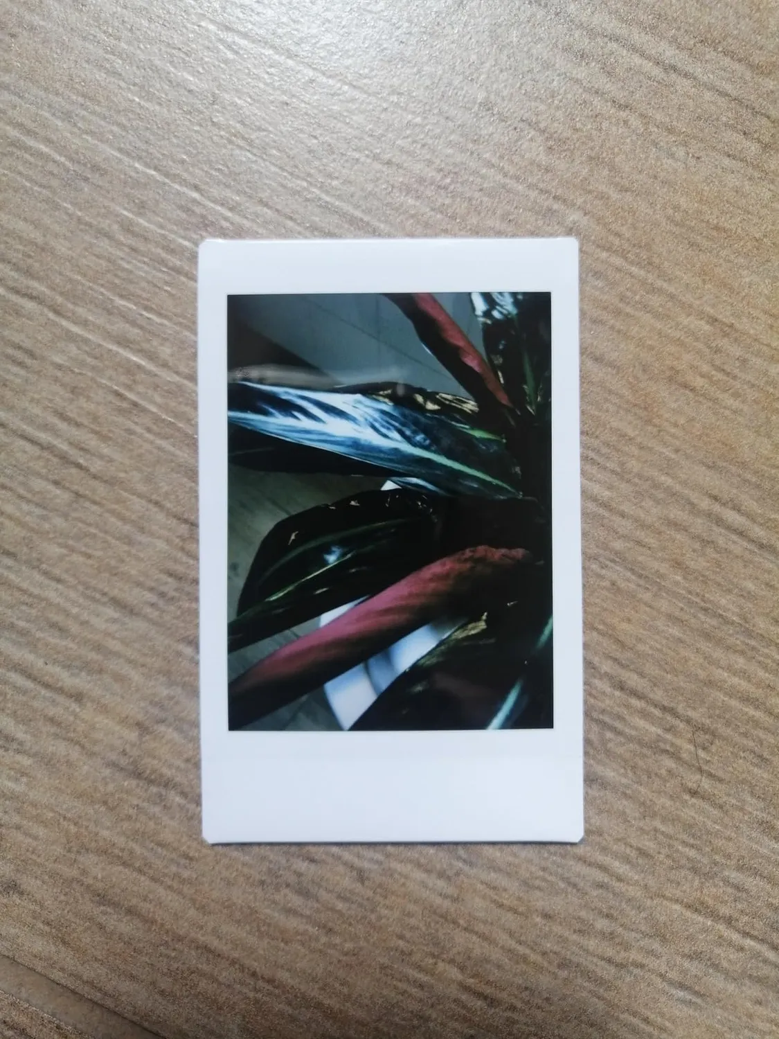 Instax Mini 41 fotocamera istantanea con selfie