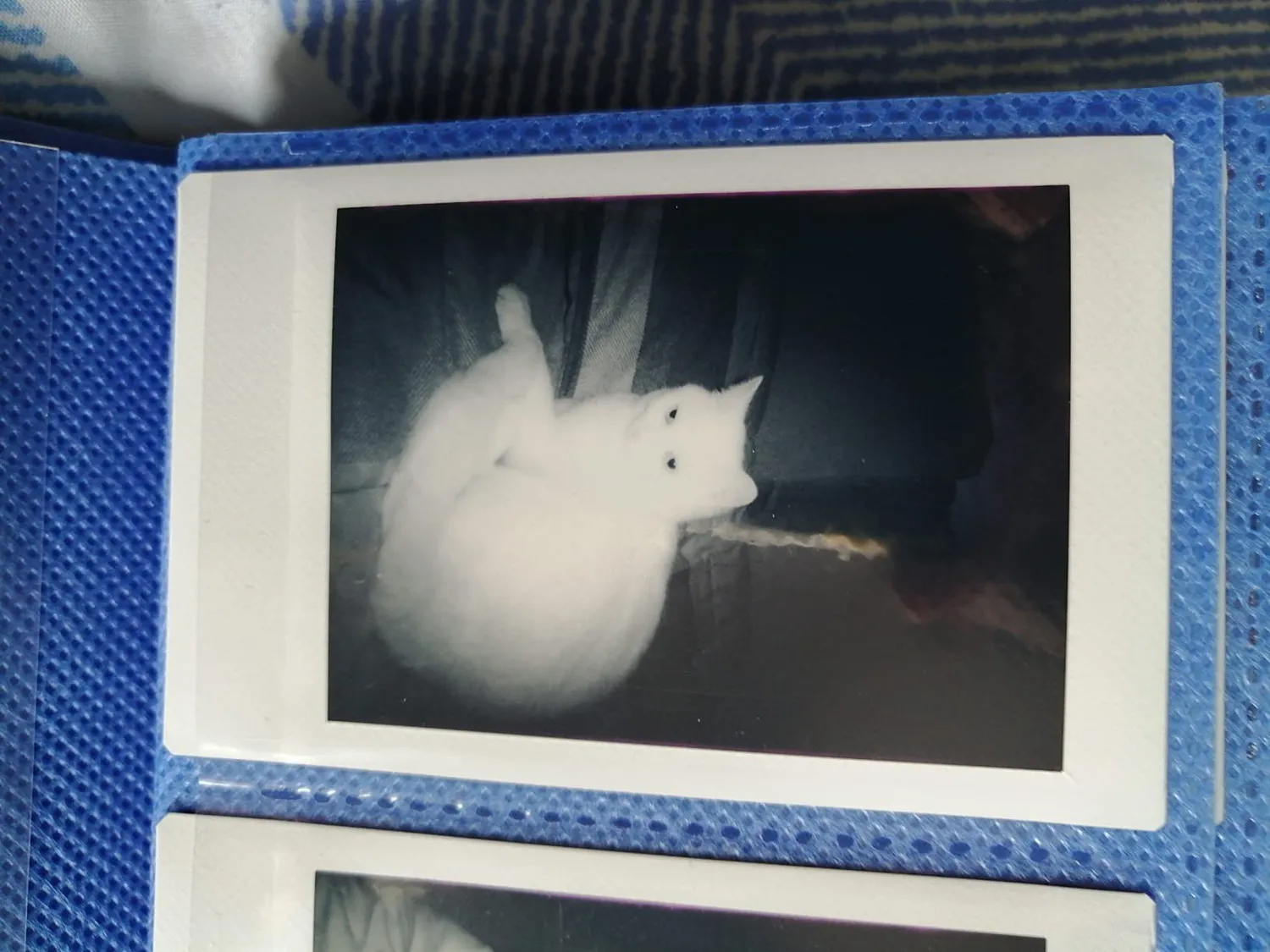 Instax mini pellicola istantanea