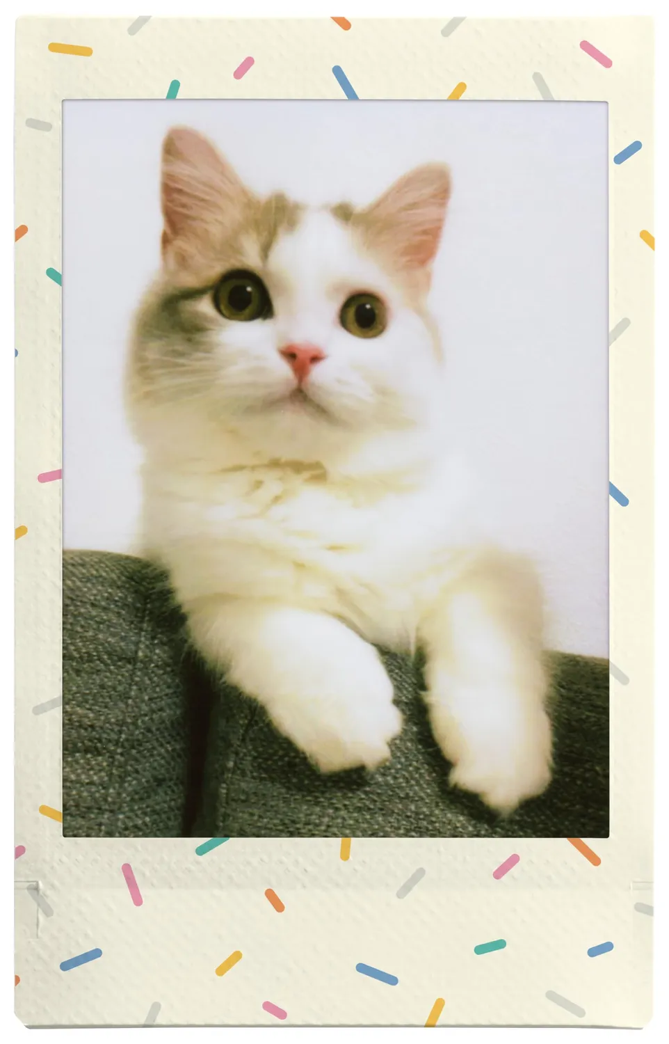 Instax Mini Pellicola Sprinkles 10 Scatti ISO 800