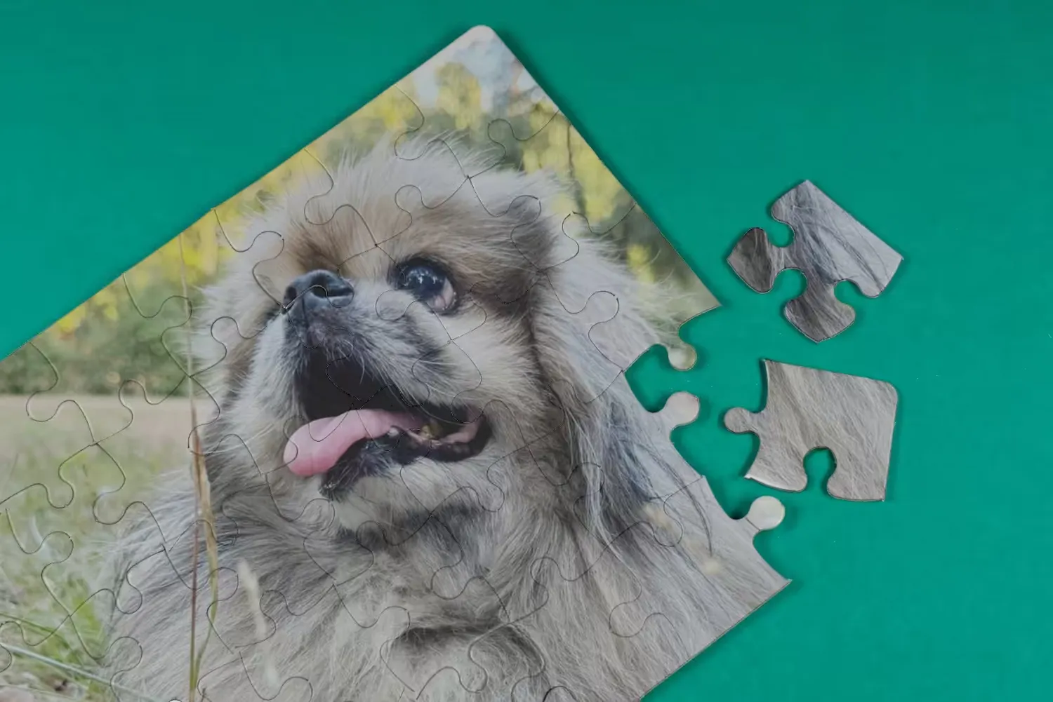 Fotodigital Puzzle Fotografico Personalizzato