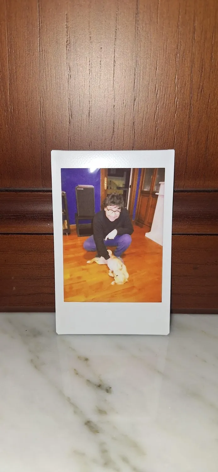 Instax Mini Evo fotocamera istantanea ibrida